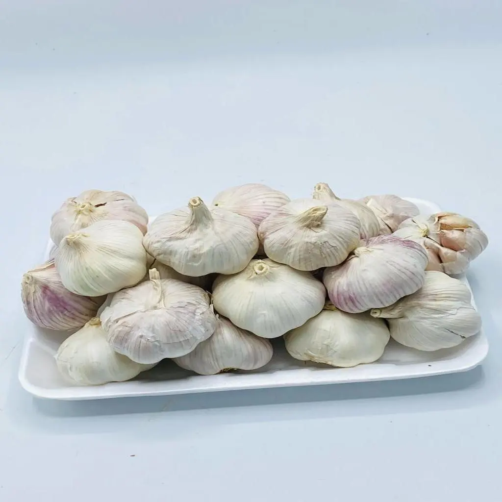 Chinese Garlic